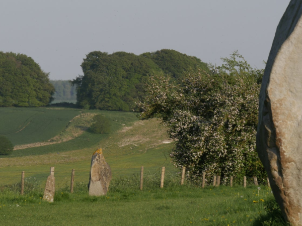 Avebury Manor garden