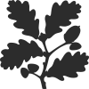 National Trust Logo